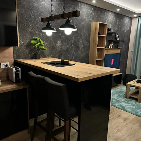 Tesic Apartman Banja Koviljaca